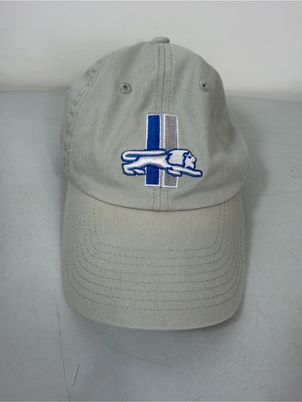 NFL Detroit Lions Hat Cap with Blue and Gray Logo